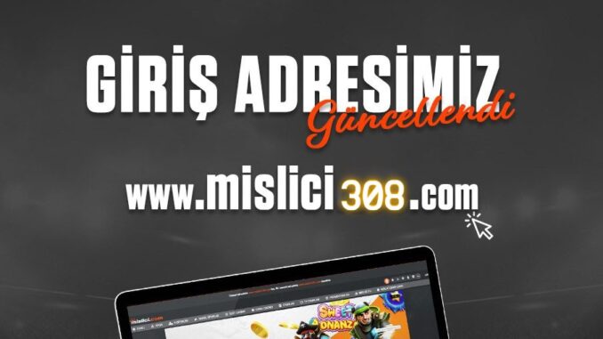 mislici-308